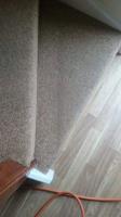 My Care Carpet Cleaning image 3
